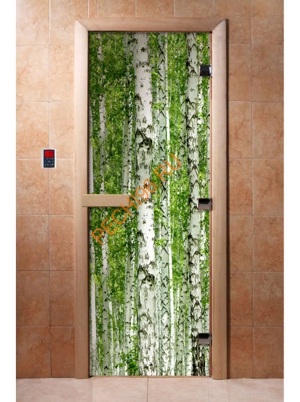 Дверь стеклянная DoorWood с фотопечатью «Березовая роща»