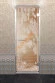 Дверь стеклянная DoorWood Хамам «Березка» прозрачная, 1900х700 мм