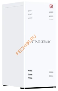 Газовый котел Лемакс Газовик АОГВ-23,2