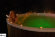 Купель композитная Polarspa STANDART 98 термососна